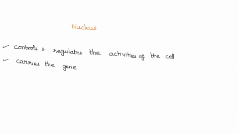 which-of-the-following-is-a-function-of-the-nucleus-multiple-choice-prepares-molecules-for-export-from-the-cell-provides-a-place-for-produced-cellular-materials-to-be-refined-manufactures-mo-31345