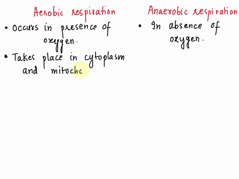 what-is-the-difference-between-a-aerobic-and-an-aerobic-respiration-60478