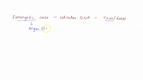 eukaryotic-cells-usually-have-circular-chromosomes-true-false-60468