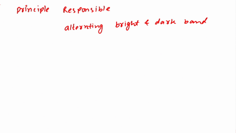 what-principle-is-responsible-for-alternating-bright-and-dark-bands-when-light-passes-through-two-or-more-narrow-slits-diffraction-refraction-interference-polarization-dispersion-05017