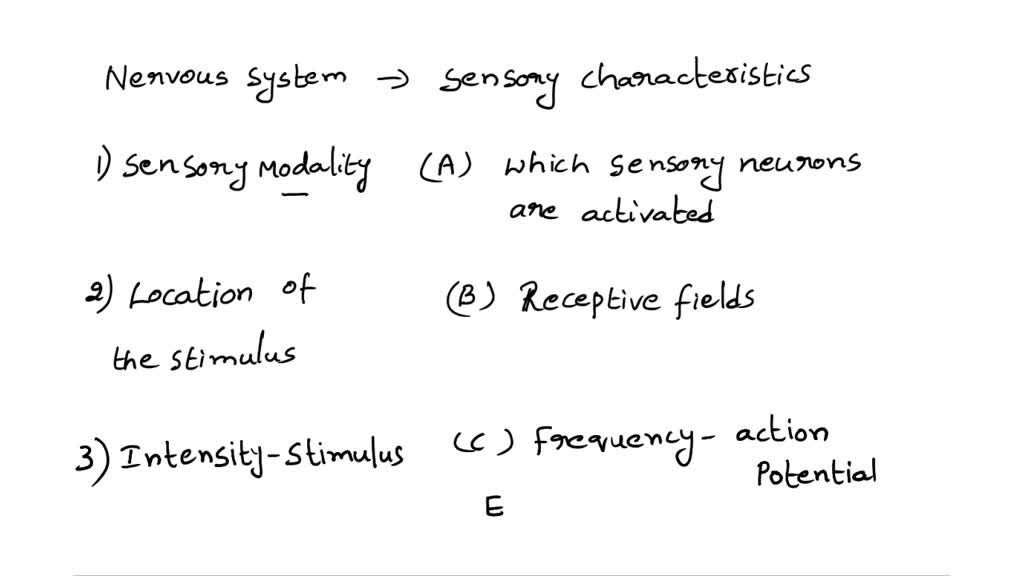 SOLVED Match the sensory characteristic with how it is coded by the