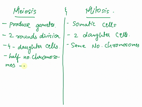 explain-why-meiosis-leads-to-significant-genetic-variation-while-mitosis-does-not-28512