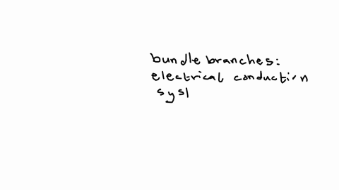 the-partition-where-the-bundle-branches-are-located-is-called-the-qquad-a-interventricular-septum-b-ieft-atrioventricular-groove-c-right-atriowentricular-groowe-d-interatrial-septum-question-20