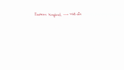 047-the-eastern-kingbird-hunts-by-catching-flying-insects-in-mid-airan-approach-which-requires-impressive-and-energetic-acrobatic-maneuvers-what-myf-type-of-functional-response-do-you-expect-24759