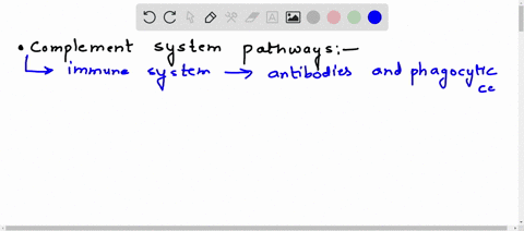 explain-the-complement-system-pathways-and-their-stages-of-action-20153