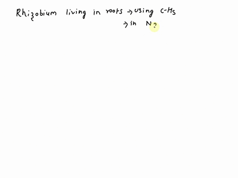 free-living-rhizobium-have-the-ability-to-transform-nitrogen-gas-to-ammonium-ions-rhizobium-bacteria-are-also-found-inhabiting-the-roots-of-plants-in-the-legume-family-where-rhizobium-uses-c-87995