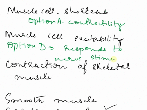 1-the-capacity-of-a-muscle-cell-to-shorten-its-length-is-known-as-a-contractility-b-excitability-cextensibility-d-elasticity-e-flexibility-2-muscles-exhibit-the-property-of-excitability-this-28806
