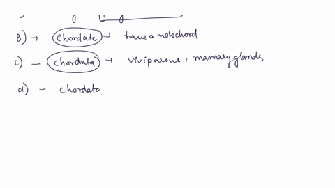 identify-the-animals-given-in-pictures-and-write-features-of-its-phylum-classplease-give-me-the-identify-the-animals-given-in-write-features-of-its-pictures-and-phylum-class-11783