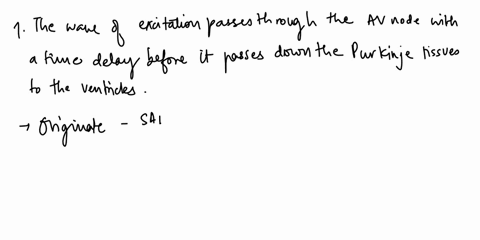 which-statement-concerning-events-that-occur-in-he-heart-correct-passes-ihrough-the-atrioventricular-node-there-time-delay-as-lhe-wave-of-excitation-before-it-passes-down-the-purkyne-tissue-10665