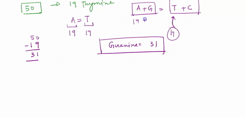 1-a-you-analyze-the-nitrogenous-bases-present-in-a-piece-of-dna-that-is-50-basepairs-long-you-count-19-thymines-assuming-conventional-basepairing-rules-a-matches-with-t-c-matches-with-g-what-83193
