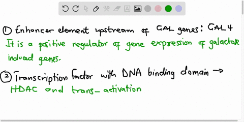 match-each-genetic-component-involved-with-gal-gene-regulation-in-yeast-with-the-best-description-of-its-function-enhancer-element-upstream-of-gal-genes-choosc-transcription-factor-with-dna-91693