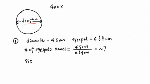 protocol-30-using-the-formula-above-for-estimating-the-size-of-microscopic-organim-and-the-compound-light-microscope-image-of-euglena-below-figure-4-400x-fovd-smmcalculate-the-following-size-61594