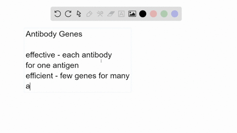 the-human-genome-contains-less-than-50000-genes-yet-a-human-has-the-capability-of-producing-more-than-1012different-antibody-molecules-how-can-this-evidence-be-used-to-support-the-claim-that-the-hum-2