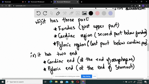 question-1-10-pts-part-a-your-digestive-system-consists-of-specialized-compartments-where-specific-processes-are-carried-out-in-your-own-words-describe-the-anatomy-regions-special-structures-47333