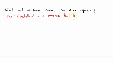 what-part-of-the-brain-controls-the-reflex-response-79025