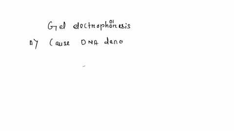 why-is-the-density-of-the-gel-important-in-gel-electrophoresis-prevent-dna-contamination-protect-dna-from-digestion-cause-dna-denaturation-avoid-dna-replication-influence-the-rate-of-migrati-76468