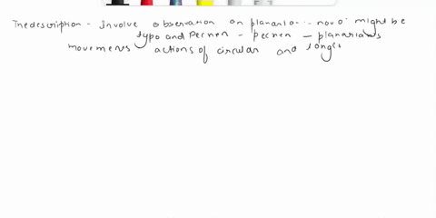 describe-the-actions-of-the-nvo-while-the-oppsing-museles-eircular-and-longirudinal-that-yu-obscrve-pecnen-glides-abvut-how-does-the-planarian-respond-to-being-tmched-with-toothpick-to-being-53152