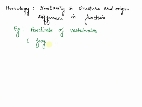 what-are-the-major-features-homologies-of-animals-which-of-these-are-synapomorphies-25915