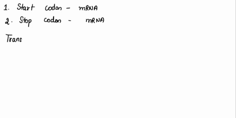 translation-initiation-is-signaled-by-select-the-promoter-sequence-in-the-dna-the-promoter-sequence-in-the-mrna-the-start-codon-in-the-dna-the-start-codon-in-the-mrna-the-enhancer-sequence-i-79295