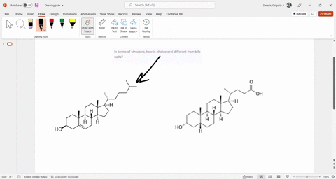 in-terms-of-structure-how-is-cholesterol-different-from-bile-salts-25342