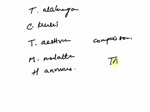 activity-3-amino-acid-sequence-alignment-as-mentioned-previously-evolutionary-changes-can-be-observed-by-comparing-amino-acid-sequences-of-protein-that-is-common-between-the-species-of-inter-38013