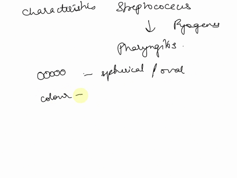 characteristics-streptococcus-pyogenes-colony-pattern-form-color-opacity-margin-texture-cell-morphology-cell-shape-arrangement-gram-reaction-capsule-flagella-91858