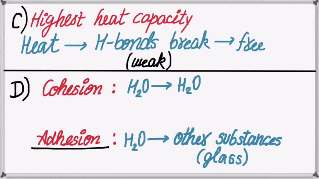 SOLVED All of the following are properties of water EXCEPT It is a
