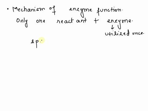 which-of-the-following-correctly-represents-the-mechanism-of-enzyme-function-multiple-cholce-e-s-e-s-ep-e-p-d3ds-56576