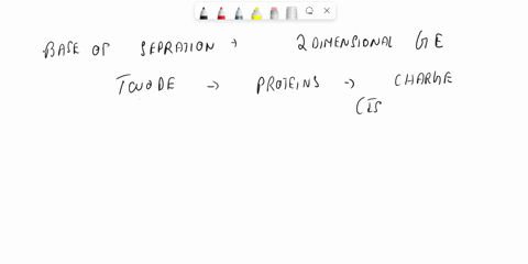 what-is-the-basis-for-separation-of-proteins-by-two-dimensional-gel-electrophoresis-does-it-matter-which-electrophoretic-method-is-applied-first-why-or-why-not-59646