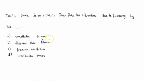 jases-phone-is-on-vibrate-jase-feels-the-vibration-due-to-processing-by-his-___________-a-kinestheti-09827