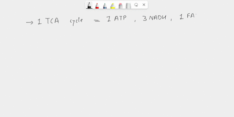 starting-with-citrate_-which-of-the-following-combinations-of-products-would-result-from-three-turns-of-the-tca-cycle-atp-2-coz3-nadh-and-fadhz-3-atp-6-coz-9-nadh-and-fadhz-3-atp-3-coz-3-nad-58935