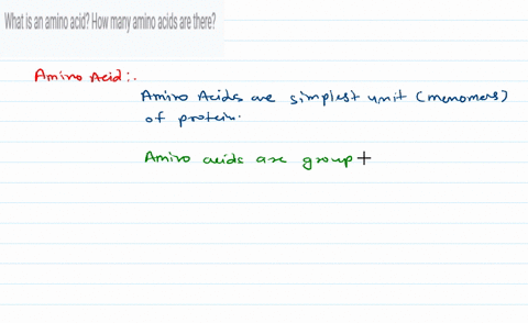 what-is-an-amino-acid-how-many-amino-acids-are-there-84637