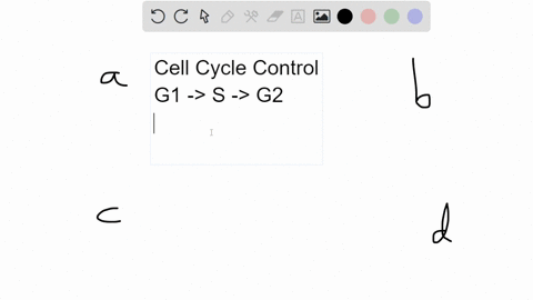 you-create-cells-with-a-version-of-the-origin-recognition-complex-orc-that-cannot-be-phosphorylated-by-s-cdk-and-thus-cannot-be-inactivated-which-of-the-following-statements-describes-the-li-38725