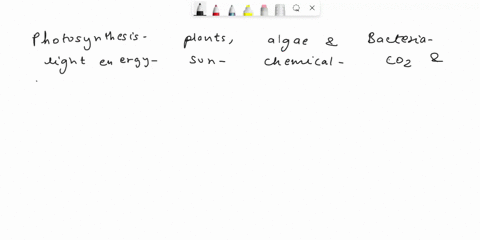 what-is-photosynthesis-31292