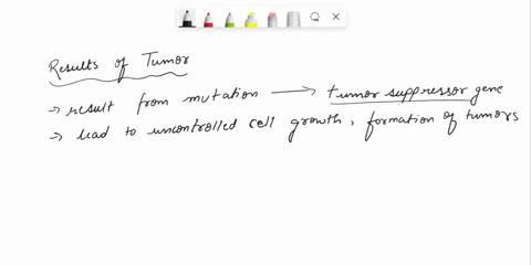 select-all-that-apply-tumors-can-result-from-mutations-in-tumor-suppressor-genes-mutations-in-proto-oncogeres-too-mnany-cells-in-go-too-much-cell-division-too-iittle-ccll-death-78682