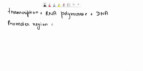 describe-diagram-the-process-of-transcription-initiation-elongation-termination-and-the-process-of-rna-processing-cukaryotes-indicate-how-termination-occurs-for-each-of-the-rnia-pohymerases-75726