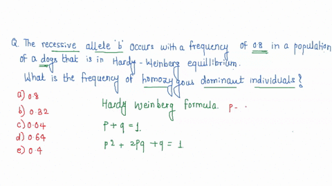 question-19-pts-the-recessive-allele-b-occurs-with-a-frequency-of-08-in-a-population-of-dogs-that-is-in-hardy-weinberg-equilibrium-what-is-the-frequency-of-homozygous-dominant-individuals-08-73622