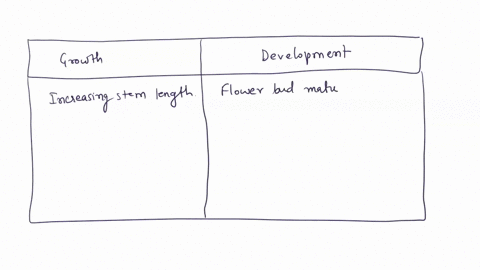 classify-the-following-according-to-whether-they-represent-plant-growth-or-plant-development-grouth-develooment-increased-rcol-mass-increased-plant-height-flower-bud-maturation-shoot-meriste-39528
