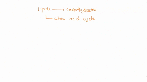 116b-the-body-can-synthesize-lipids-out-of-carbohydrates-for-energy-storage-the-long-term-body-canuse-the-same-pathway-in-reverse-to-burn-lipids-as-a-source-of-fuel-for-the-citric-acid-cycle-82644