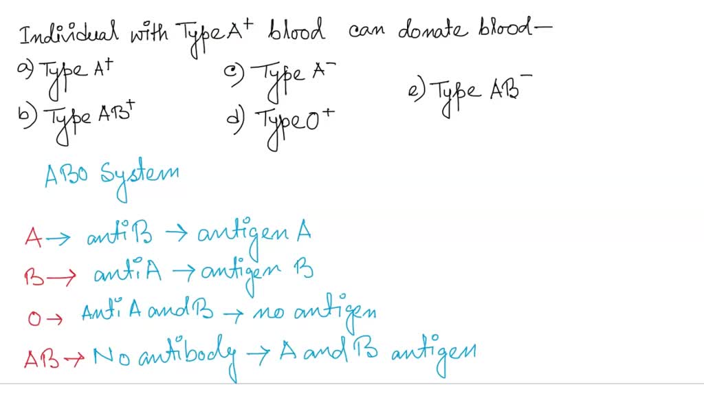 SOLVED 'An individual with Type A+ blood can donate blood to these