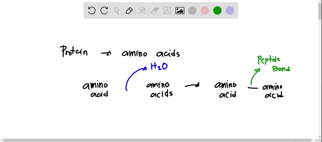 SOLVED: Amino acids are linked together to make a proteins by removing