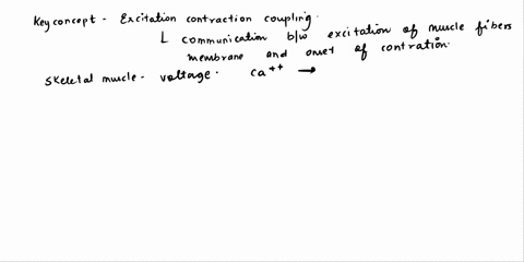 describe-the-structure-and-function-of-skeletal-smoothand-cardiac-muscle-12583