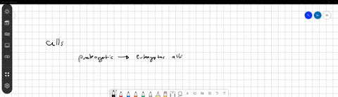 the-following-are-characteristic-of-all-cellular-organisms-except-evolution-motility-transcription-cytoplasmic-membrane-55486