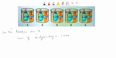 question-completion-status-question-5-in-which-beaker-will-the-dialysis-bag-gain-weight-due-to-osmosis-2-pt-g63-p2ned-02n1-obl-pznlpz-lon-zw-o2n-a-nuectinn-86067