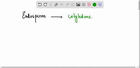 what-is-endosperm-what-is-endosperm-the-female-portion-of-a-flowering-plant-the-male-portion-of-a-flowering-plant-the-leaves-that-are-a-part-of-the-embryo-tissue-that-develops-into-a-protect-81273