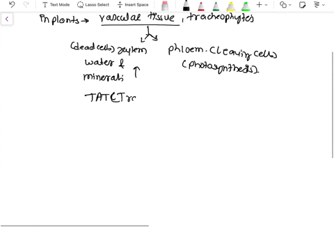 explain-how-water-is-taken-up-by-the-plant-roots-and-transported-throughout-the-plant-show-the-pathways-and-explain-the-mechanisms-used-to-reach-all-parts-of-the-plant-83977