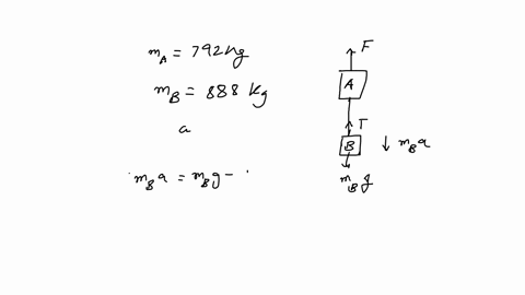 how-many-newtons