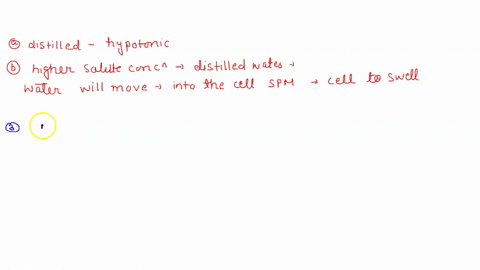next-you-place-plantin-distilled-kter-06-solute-what-kind-of-environment-are-you-placing-the-cell-in-is-it-a-hypotonic-hypertonic-or-isotonic-environment-what-impact-will-this-have-on-the-pl-75126