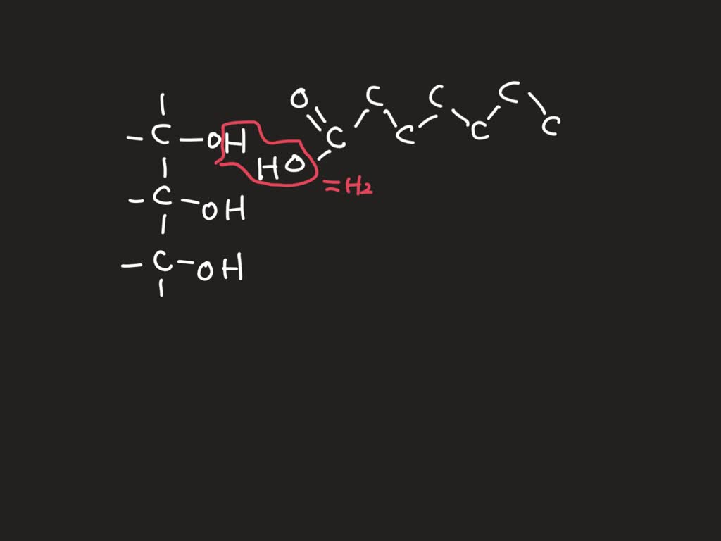 SOLVED Using the molecules glycerol and fatty acids, show with either