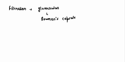 aenom-0-4-kider-micrantopte-ncchron-lunct-wullcr-inullian-fash-mjne-portions-renney-thc-etch-which-ol-intc-eaotf-ficuut-which-are-irufc-blood-toward-4fuund-inu-4411-trace-ihc-path-individum-90766